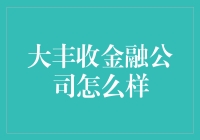 大丰收金融公司：智能金融服务引领未来