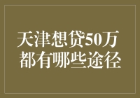 天津想贷50万 都有哪些途径：全面解析与策略建议