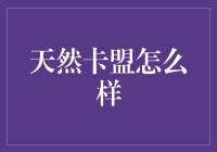 天然卡盟：探索其背后的商业模式与市场潜力