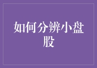 小盘股的投资价值分析：如何分辨潜力股与风险股