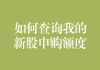 如何查询我的新股申购额度：一种专业的新股投资指南