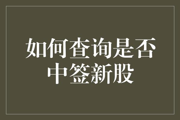 如何查询是否中签新股