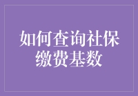 如何查询社保缴费基数：便捷途径与注意事项