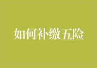 如何补缴五险：确保未来退休与医疗保障的关键步骤