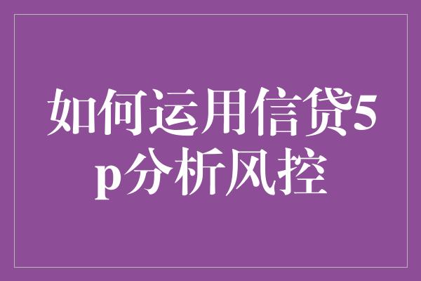 如何运用信贷5p分析风控