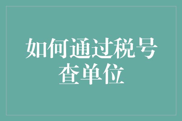 如何通过税号查单位