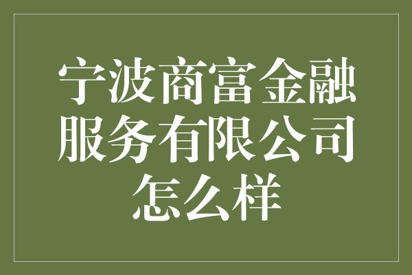 宁波商富金融服务有限公司怎么样