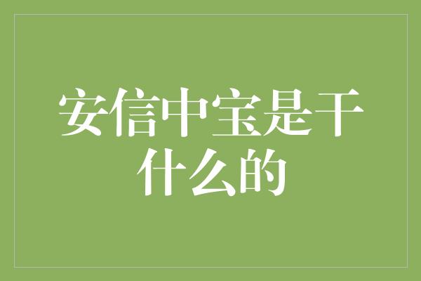 安信中宝是干什么的