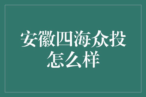 安徽四海众投怎么样