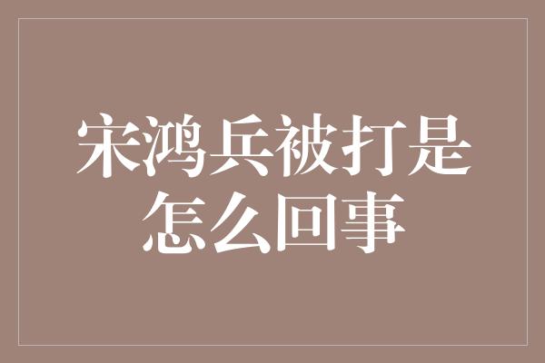 宋鸿兵被打是怎么回事