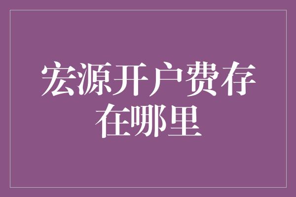 宏源开户费存在哪里