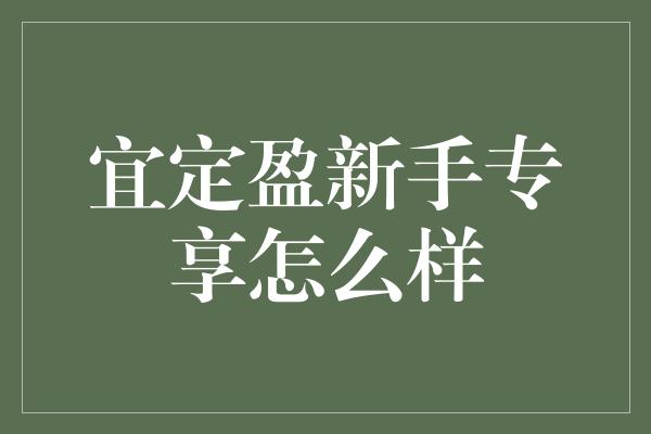 宜定盈新手专享怎么样