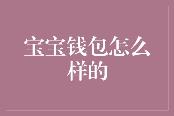 宝宝钱包怎么样的