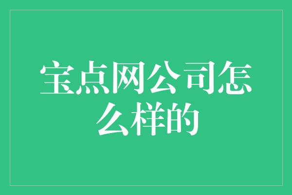 宝点网公司怎么样的