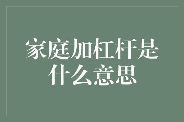 家庭加杠杆是什么意思