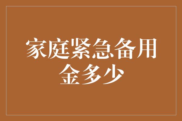 家庭紧急备用金多少