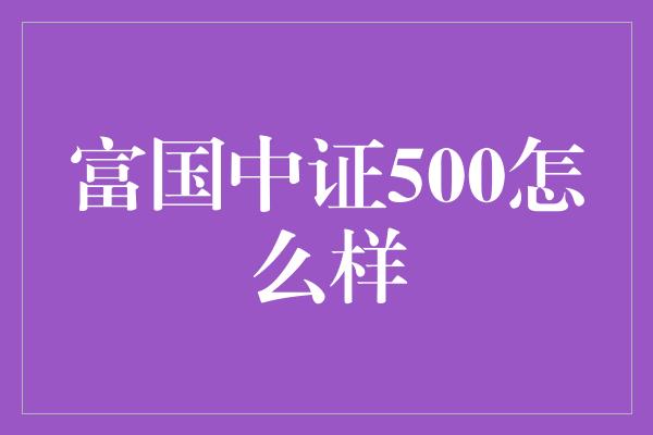 富国中证500怎么样