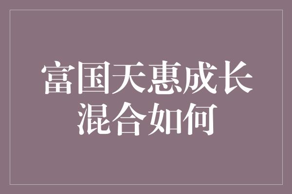 富国天惠成长混合如何