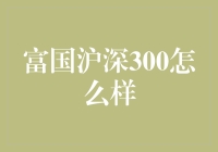 富国沪深300基金分析：长期投资价值的探索