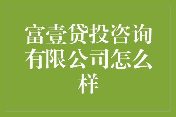 富壹贷投咨询有限公司怎么样