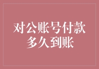 对公账号付款到账时间解析：影响因素及优化策略