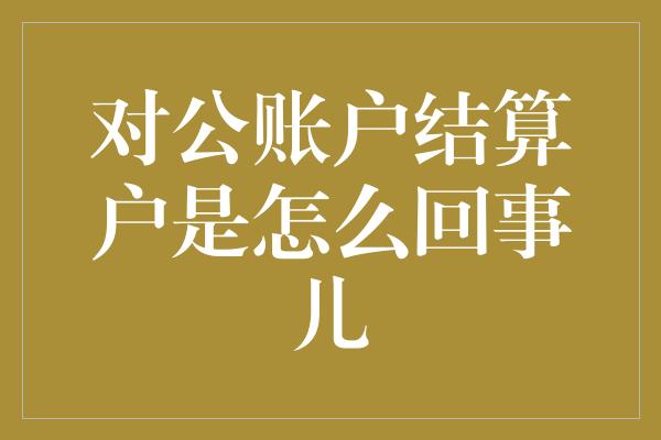 对公账户结算户是怎么回事儿