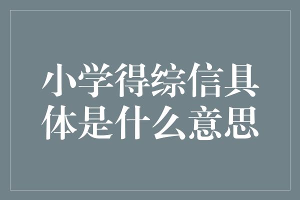 小学得综信具体是什么意思