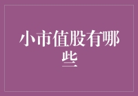 小市值股的大冒险：寻找股市中的遗珠