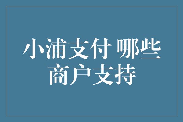 小浦支付 哪些商户支持