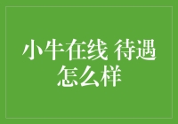 小牛在线：在高压与福利并存的世界里，如何生存？