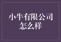 小牛有限公司：从一头小牛到一头奶牛的神奇旅程