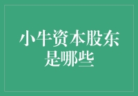 小牛资本股东是谁？——揭秘那些藏在资本背后的神秘大咖