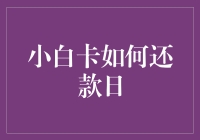 小白卡还款日：一场与时间赛跑的喜剧