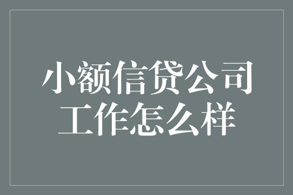 小额信贷公司工作怎么样