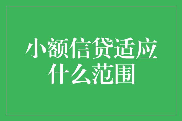 小额信贷适应什么范围