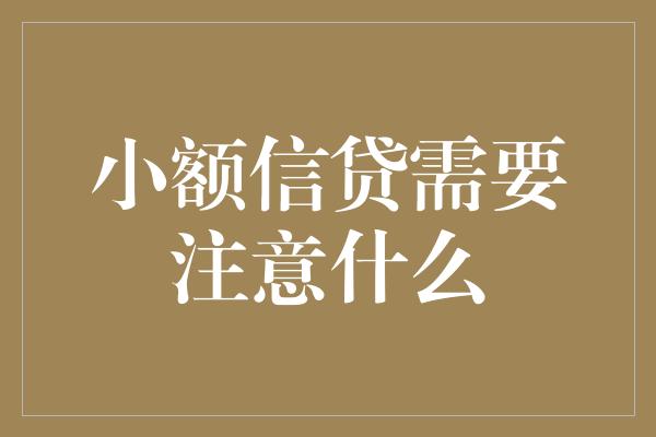 小额信贷需要注意什么