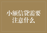 小额信贷：从金融创新到社会福祉