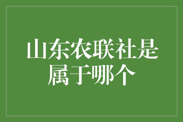 山东农联社是属于哪个