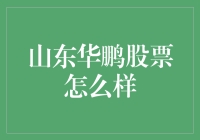 山东华鹏股票：惊险与刺激齐飞，收益与风险同行