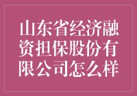 山东省经济融资担保股份有限公司：让我们一起担保未来的美好吧！