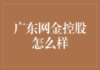 广东网金控股：互联网金融界的包租公