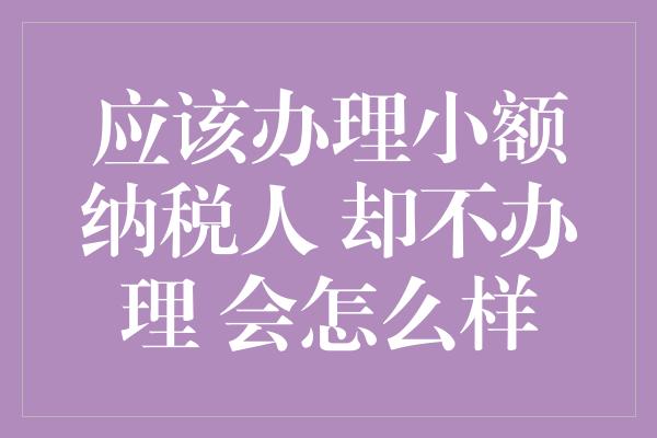 应该办理小额纳税人 却不办理 会怎么样