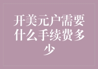 开美元户需要什么手续费多少？别急，让我给你掰扯掰扯！