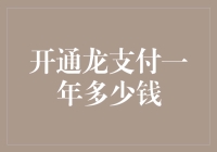 开通龙支付一年需要多少钱：深挖龙支付的费用结构与实际花费