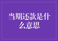 债务界的李小龙：当期还款是什么意义？