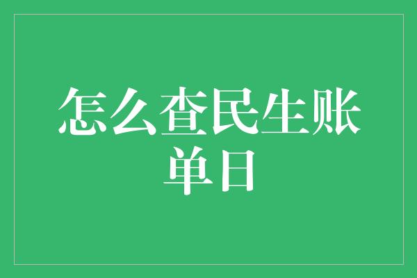 怎么查民生账单日