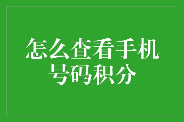 怎么查看手机号码积分