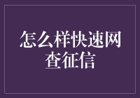 如何快速准确地进行网上征信查询：一份全面指南