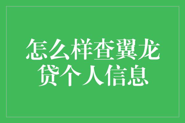 怎么样查翼龙贷个人信息