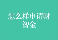 财智金申请指南：细致解析与实用策略